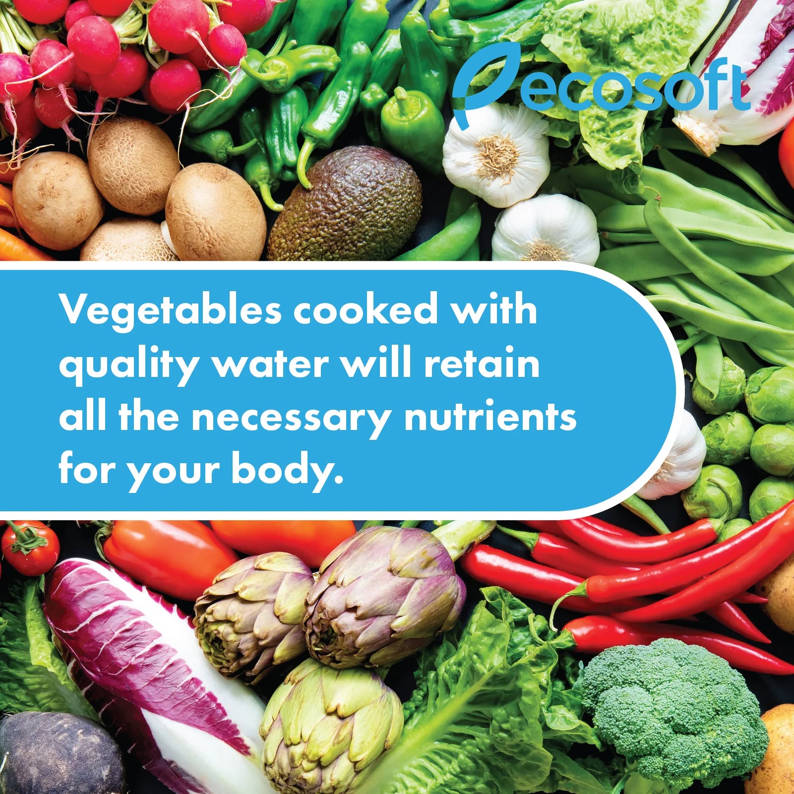 EcoSoft Standard 3-Stage Filter Replacement Set (3-Piece) | Replacement Filters | Celtic Water Solutions