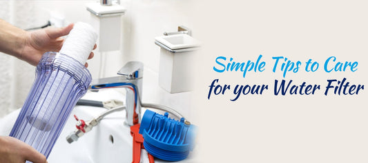 water filter maintenance